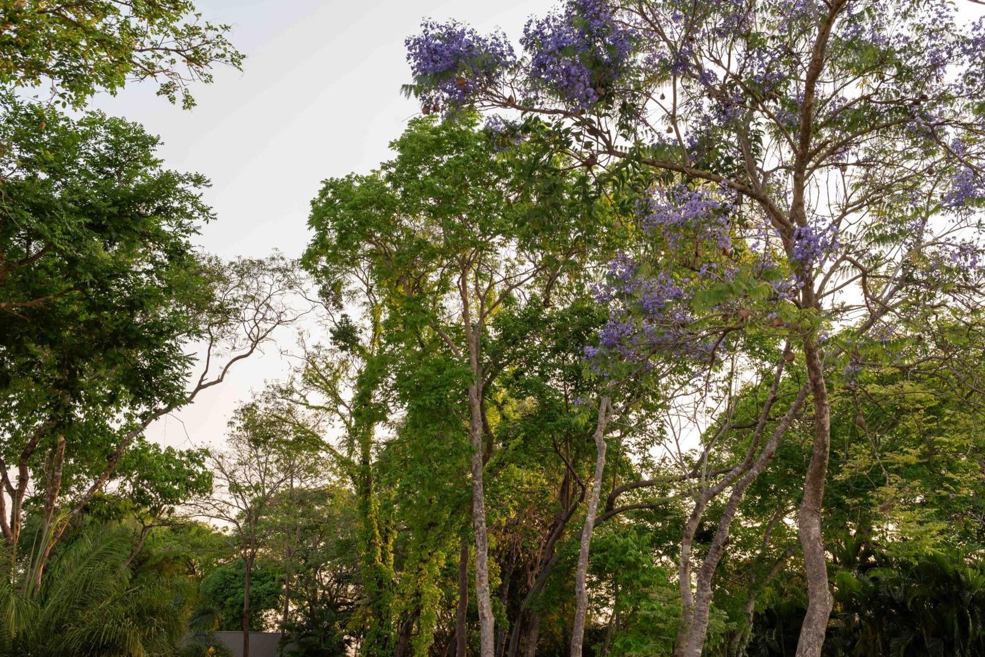 Spa Agua Milagrosa Cuiabá Kültér fotó